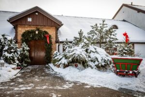Wejście do Sali Weselnej Ostoja zimą, otoczone ośnieżonymi krzewami